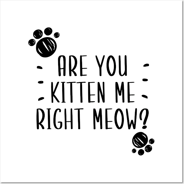 Are You Kitten Me Right Meow Wall Art by Health